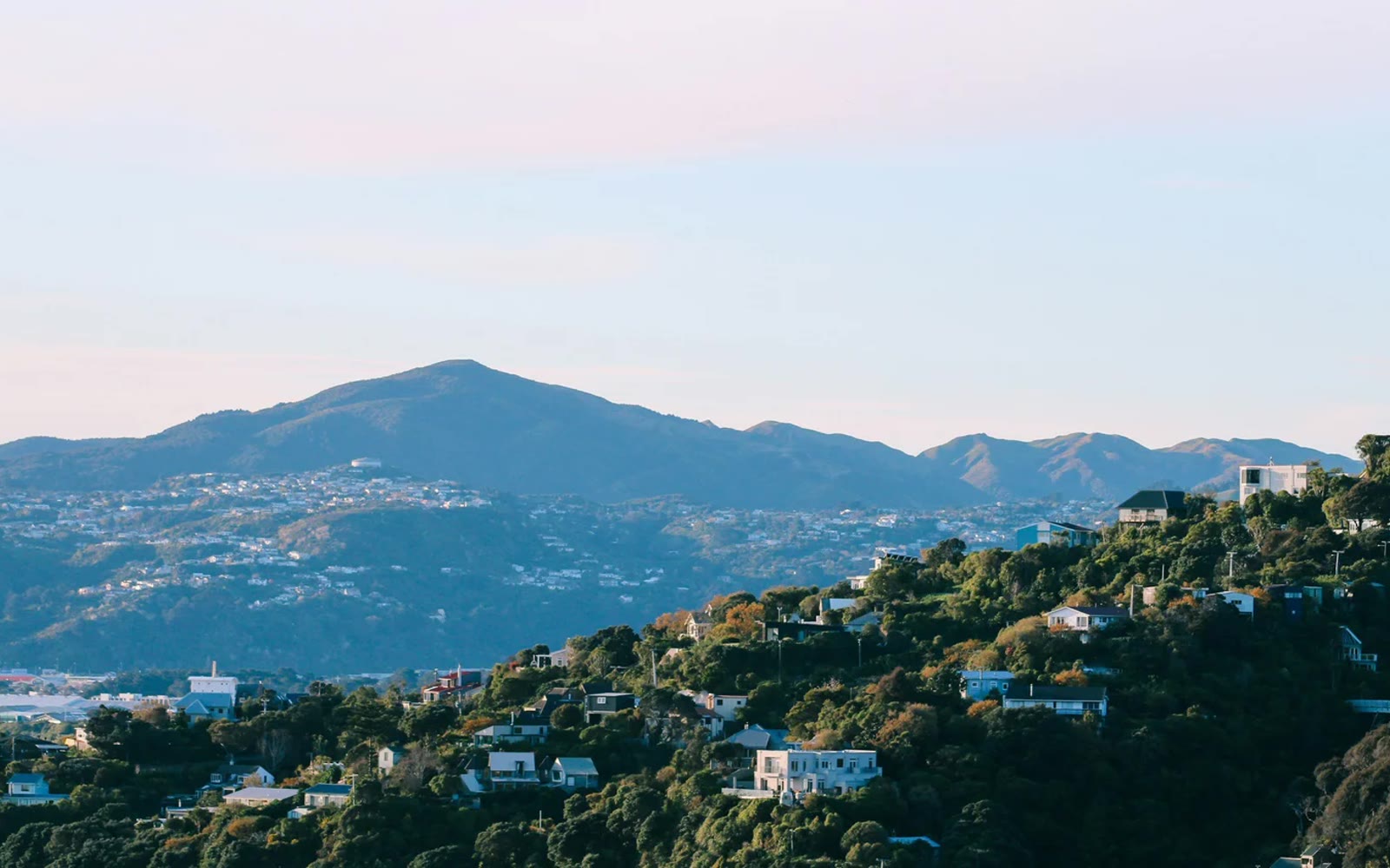 Wellington hillside suburbs looking toward the ranges, from the network's site